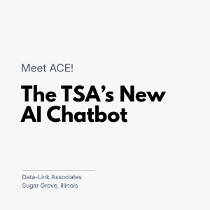 The TSAs new chatbot Ace