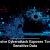 New Python Backdoor Exploits Tunneling for Credential Theft